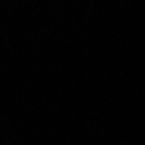 Meet your Posher, Jackson